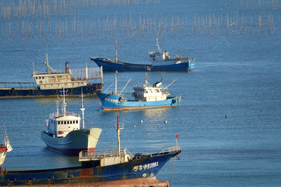 霞浦渔船