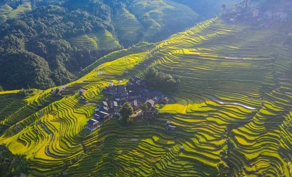 加榜梯田